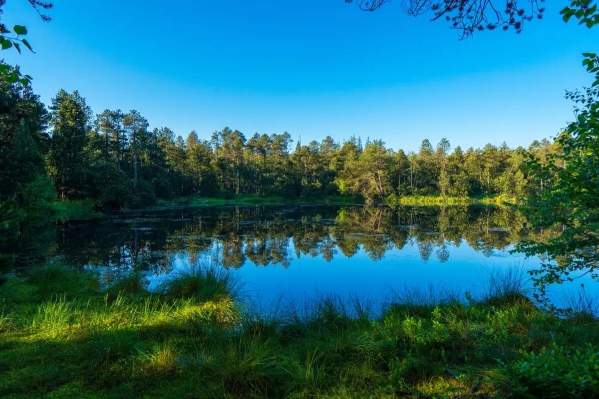 Velké mechové jezírko