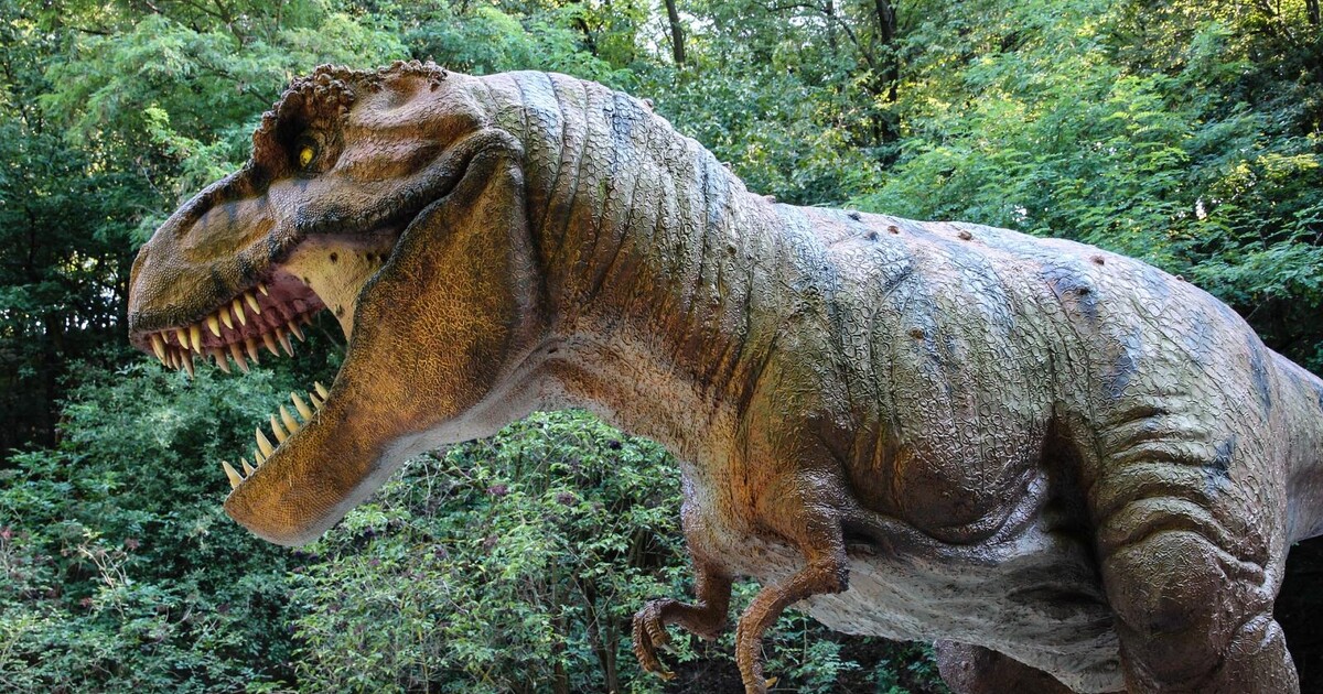 Dinosauří kvíz: Jak moc toho víš o prehistorických ještěrech?