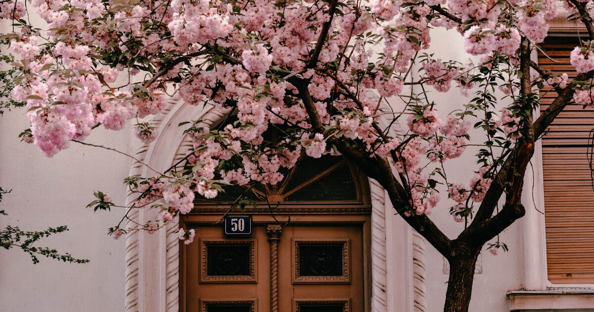 Mapa: První máj, lásky i demonstrací čas. Přinášíme ti přehled třešní i průvodů