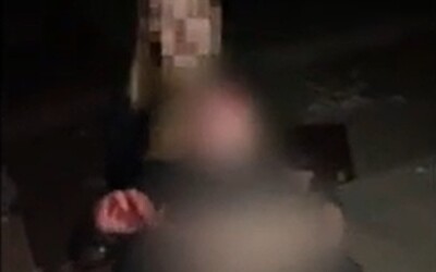 Za šírenie videí z bitky 11-ročného dievčaťa v Miloslave zatiaľ polícia nikoho nestíha. Zákon o kyberšikane je prikrátky.