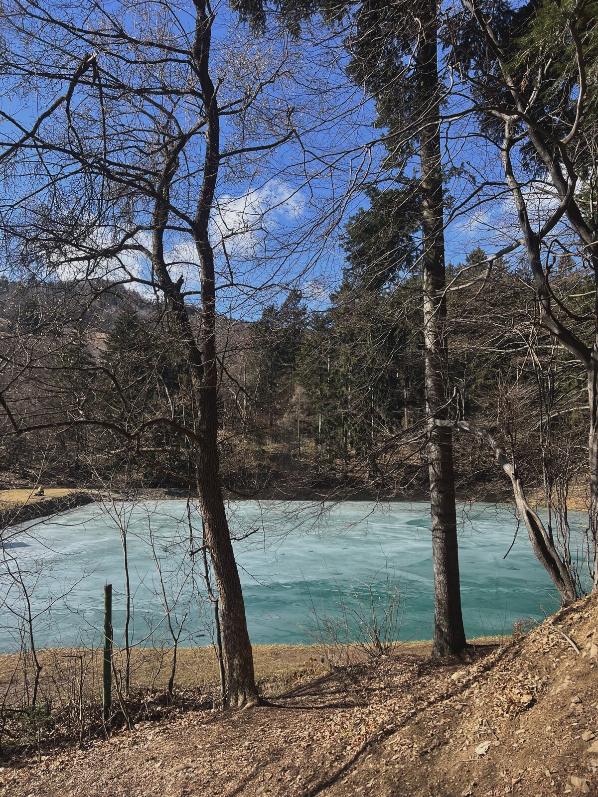 Veľká Vodárenská