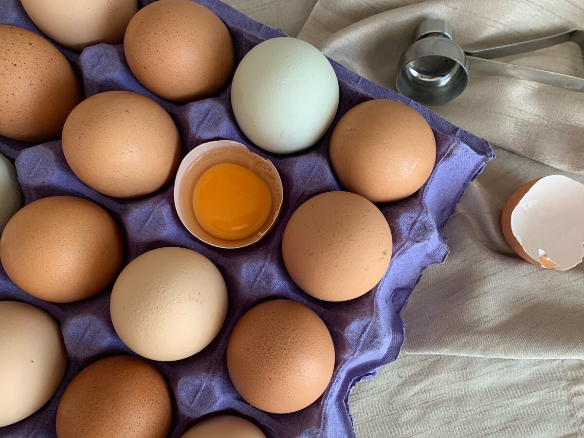vajíčka, vejce