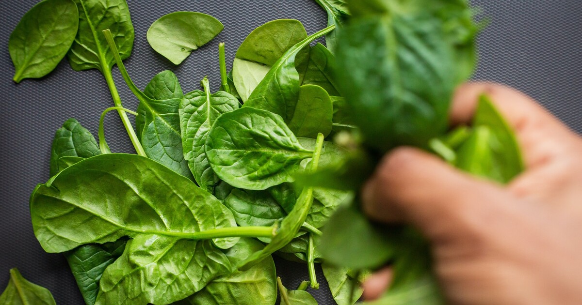 Pepek námořník měl pravdu. Špenát může působit podobně jako steroidy, zjistili vědci