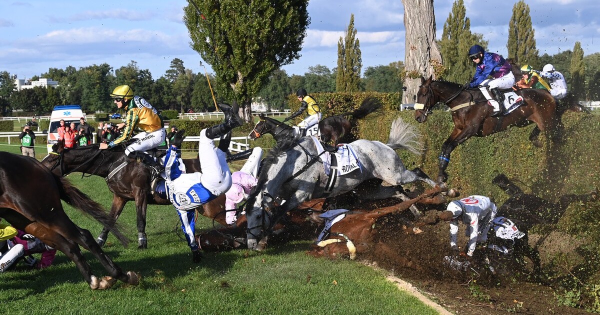 Smrt koně ve Velké pardubické vyvolala na sociálních sítích debatu. Dostihový kůň se ale narodil, aby běhal (Komentář)