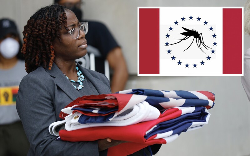 Mississippi si vyberá novú vlajku. Motív s komárom sajúcim krv neprešiel.