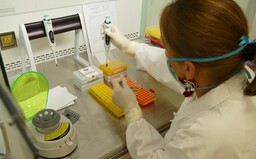 Česi vyvinuli rýchlotest na Covid-19, ktorý začína na 4 eurách. Do hodiny odhalí aj bezpríznakových pacientov
