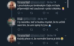Češka na Twitteru rasisticky ponižovala 15letého chlapce, zaměstnavatel ji za to propustil