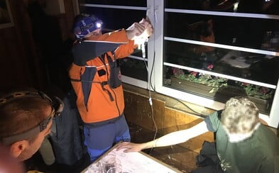České studenty ve Vysokých Tatrách musela zachraňovat horská služba. Měli křeče a zvraceli České studenty ve Vysokých Tatrách musela zachraňovat horská služba. Měli křeče a zvraceli