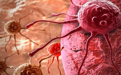 Čeští vědci sráží rakovinu na kolena. Vyvinuli látku, která karcinogenní buňky dokáže zničit Čeští vědci sráží rakovinu na kolena. Vyvinuli látku, která karcinogenní buňky dokáže zničit