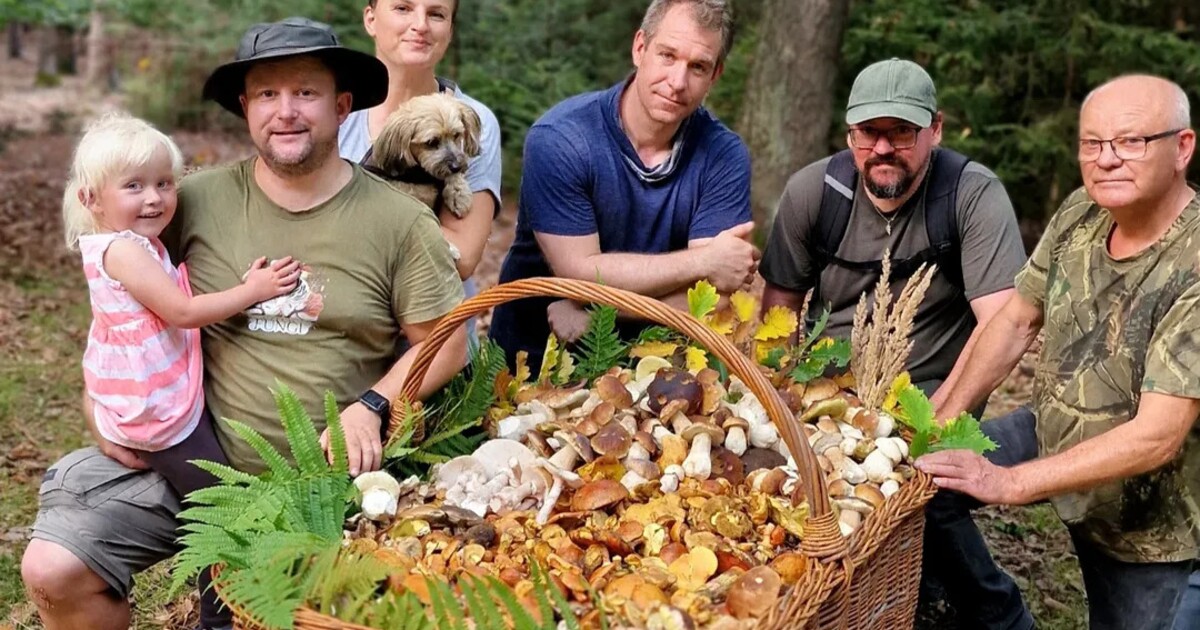 Tohle není umělá inteligence. Houbaři vyrazili do Brd s rekordně velkým košem