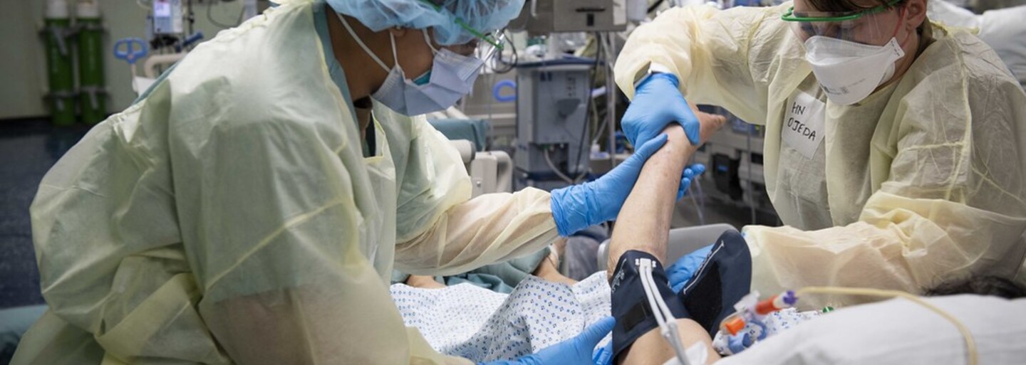 Čína hlási nový prípad nákazy vtáčou chrípkou H5N6 u človeka. Od konca roka 2021 tam začali prípady pribúdať rýchlejšie