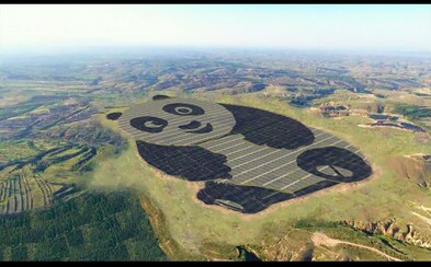 Čína podporuje obnovitelnou energii po svém. Toto je nejroztomilejší solární farma na světě Čína podporuje obnovitelnou energii po svém. Toto je nejroztomilejší solární farma na světě