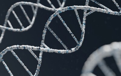 Čo skrýva moje DNA? Vieme, ako získať odpoveď rýchlo a zdarma