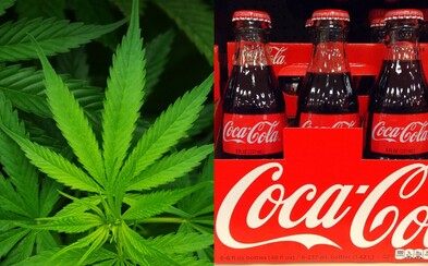 Coca-Cola možno začne produkovať nápoje s obsahom marihuany. Hlavným cieľom je priniesť zdraviu prospešný nápoj Coca-Cola možno začne produkovať nápoje s obsahom marihuany. Hlavným cieľom je priniesť zdraviu prospešný nápoj