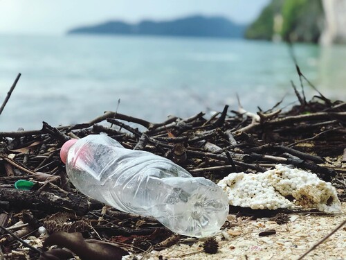 Približne ako dlho sa v prírode rozkladá plastová fľaša?