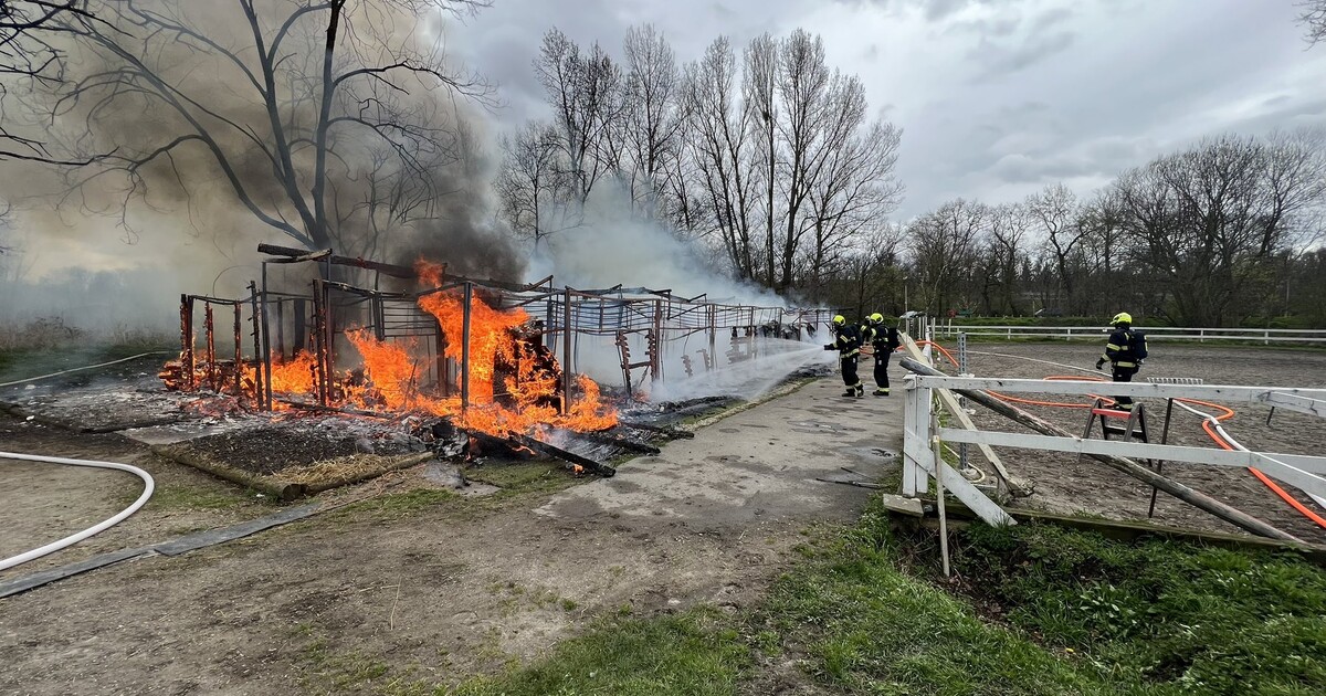 VIDEO: V Praze hořely stáje, zahynulo osm koní