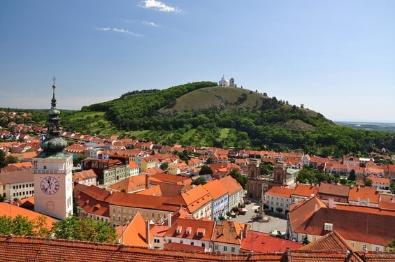 Toto místo je oblíbenou destinací pro milovníky vína i dlouhých túr. V pozadí si můžeš všimnout Svatého kopečku. Poznáváš město?