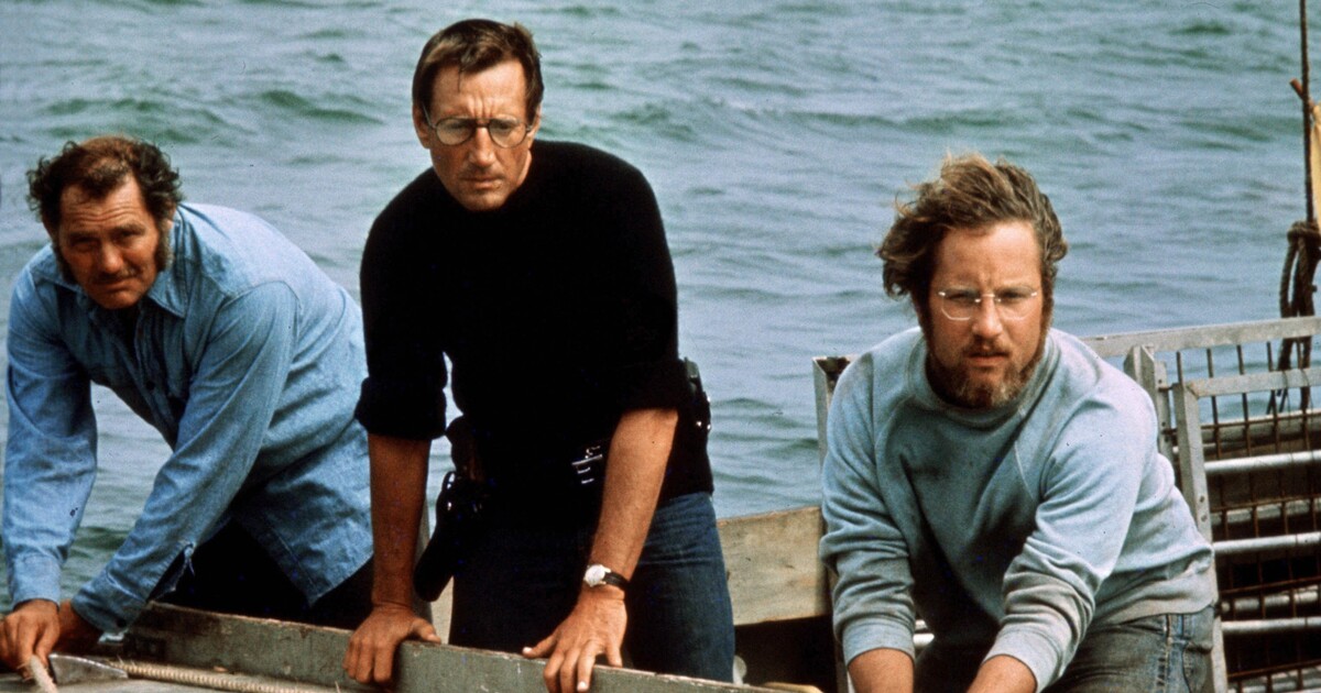 Herec z Čelistí: Chce se mi zvracet z nových standardů pro rozmanitost ve filmech