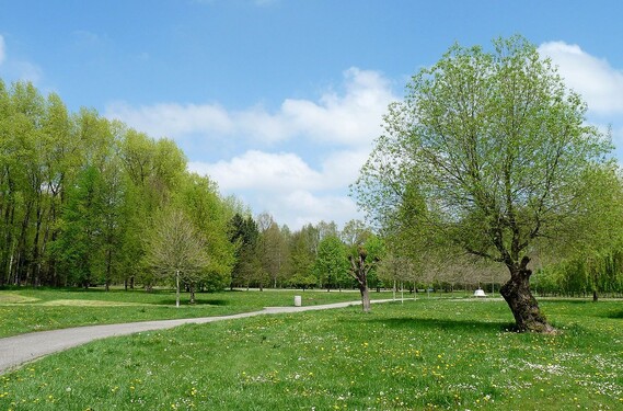 Praha není jediná, kdo má svou Stromovku. Ve kterém jihočeském městě bys tento park mohl*a najít?