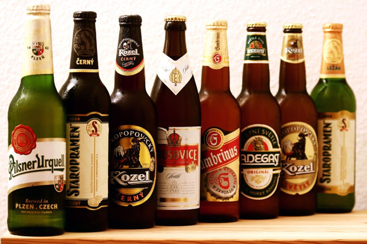 Pivo