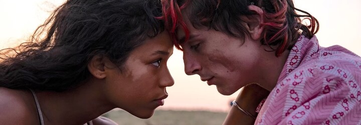 Recenzia Bones & All: Timothée Chalamet podrezáva hrdlá a konzumuje ľudí aj s kosťami. Pri sledovaní filmu ťa možno napne