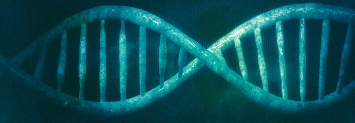 Své oběti zasadil 31 ran nožem. Milan Lubas se stal prvním vrahem, který byl v Československu usvědčen metodou DNA