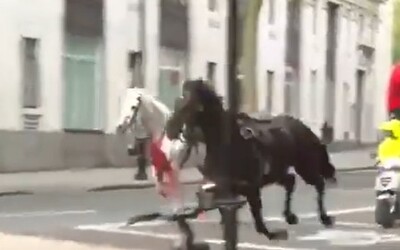 VIDEO: Po Londýne pobehovali splašené kone. Zranili piatich ľudí a vrazili do autobusu.