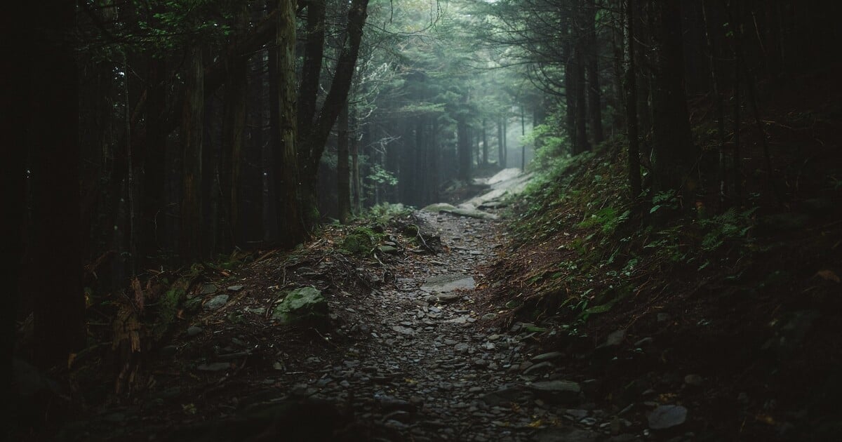 Appalačská stezka je krásná i plná záhad. Někteří se na ní setkali s mrtvými a dodnes žijí s úzkostmi