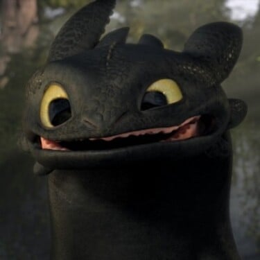 Jak se jmenuje tato postava z animáku Jak vycvičit draka?