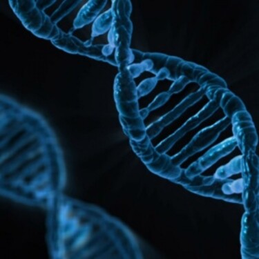 Keby sme rozplietli celú tvoju DNA, jej dĺžka by dosahovala viac ako 16 miliárd kilometrov.