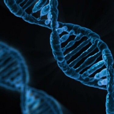 Keby sme rozplietli celú tvoju DNA, jej dĺžka by dosahovala viac ako 16 miliárd kilometrov.