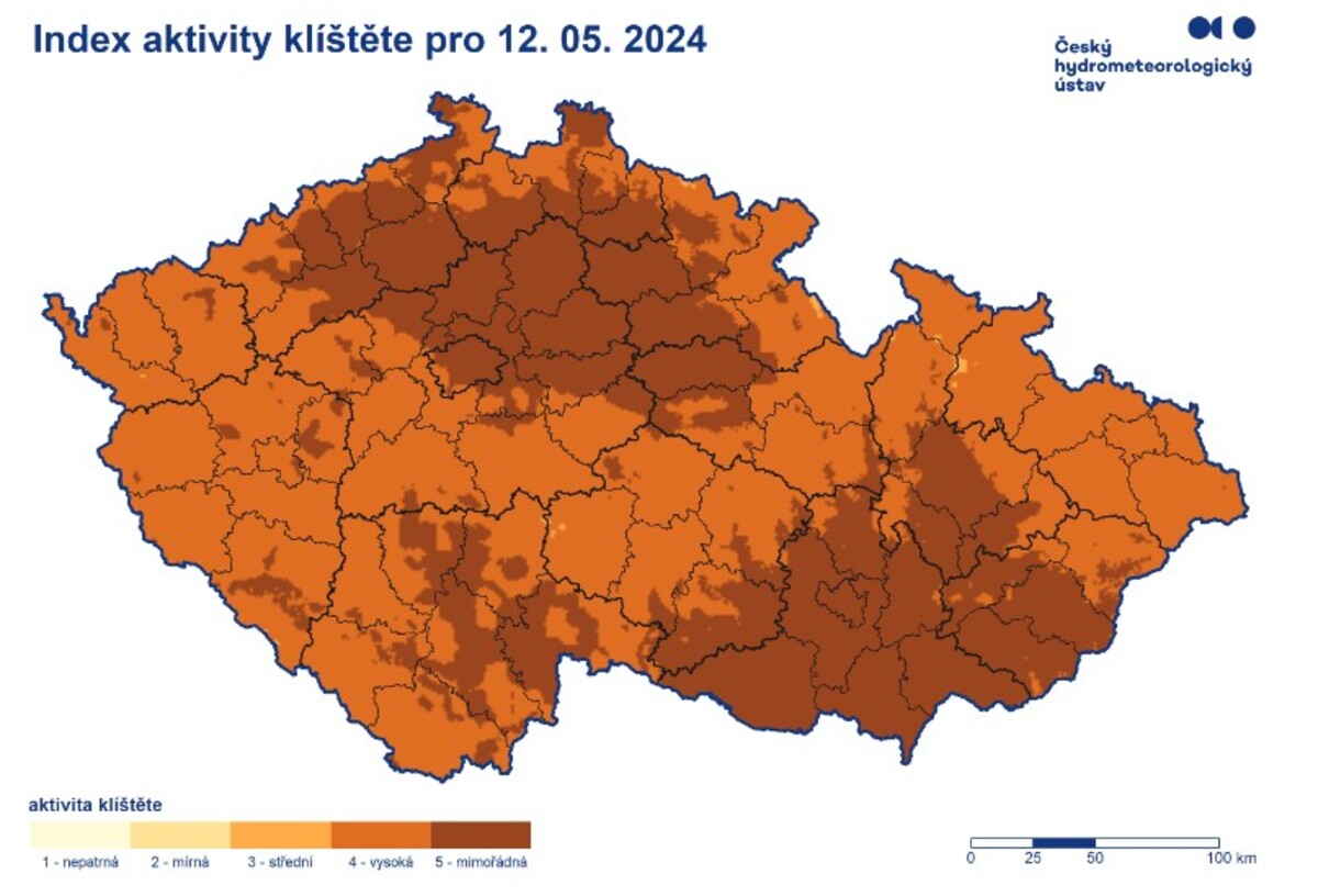 klíště