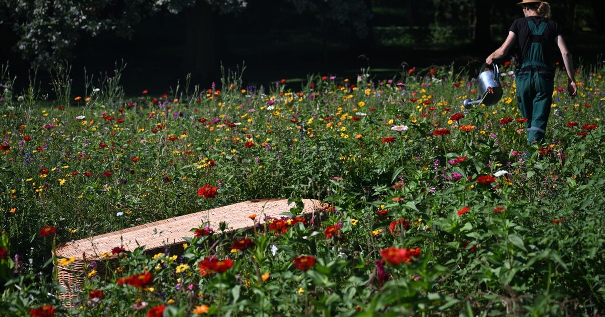 Pohřeb na louce? Tvé přání je Praze rozkazem. Koukni, kde otevřel první ekologický hřbitov