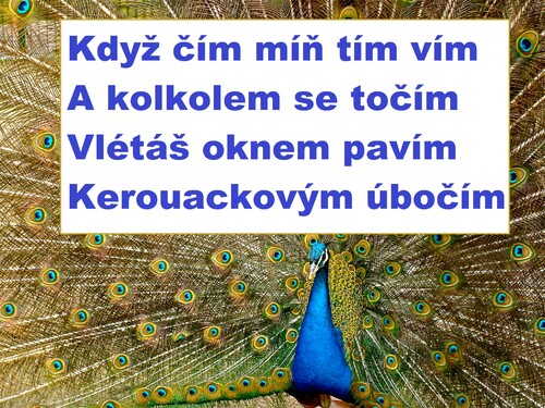Když čím míň tím vím a kolkolem se točím.