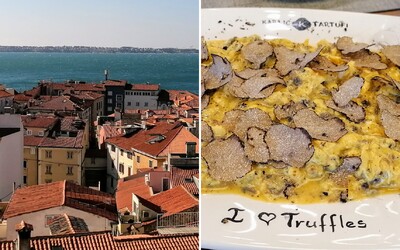 Reportáž z jesennej Istrie: hľadali sme hľuzovky, jedli v michelinskej reštaurácii a ochutnávali najlepší olivový olej na svete 