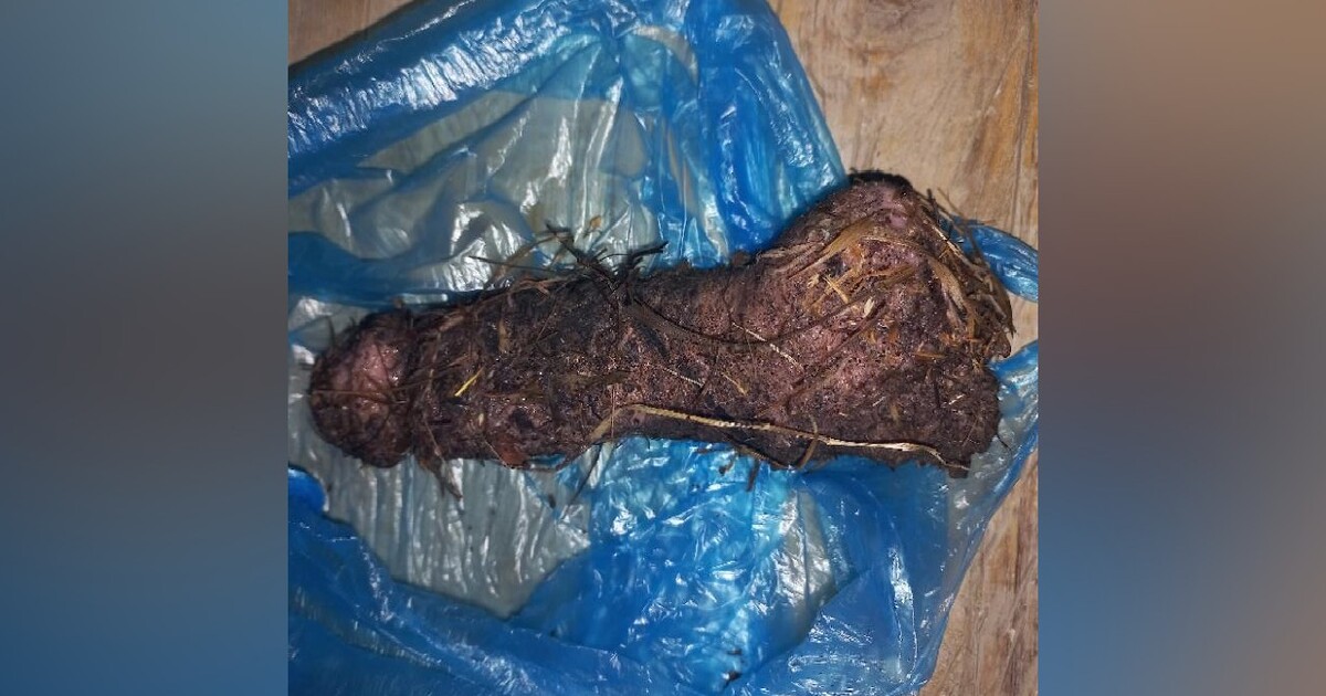 Češka se bála, že našla uříznutý penis s varlaty. Přivolaná policie zjistila, že šlo o sexuální pomůcku