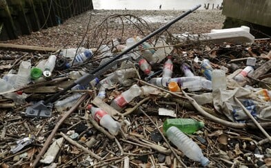 Ďalšie slovenské mesto dalo stopku jednorazovým plastom na verejných podujatiach, chce zabrániť vzniku zbytočného odpadu Ďalšie slovenské mesto dalo stopku jednorazovým plastom na verejných podujatiach, chce zabrániť vzniku zbytočného odpadu