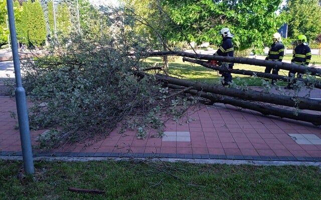 FOTO: Silná búrka na východe Slovenska. Vietor lámal a vyvracal stromy