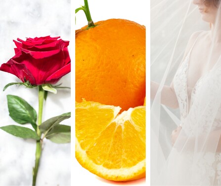 Príbeh sa začína svadobnou scénou a naprieč celým ďalším dejom sa objavujú pomaranče. Červená ruža symbolizuje rodinu. Uhádneš, o ktorý film ide, podľa troch indícií na obrázku?