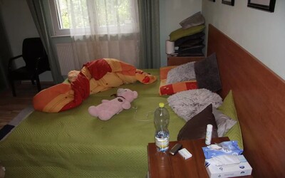 Kuplířky „zaměstnávaly“ ženy na erotické služby, pronajímaly jim priváty. Společně s občasnou prostitucí si vydělaly 4 miliony.