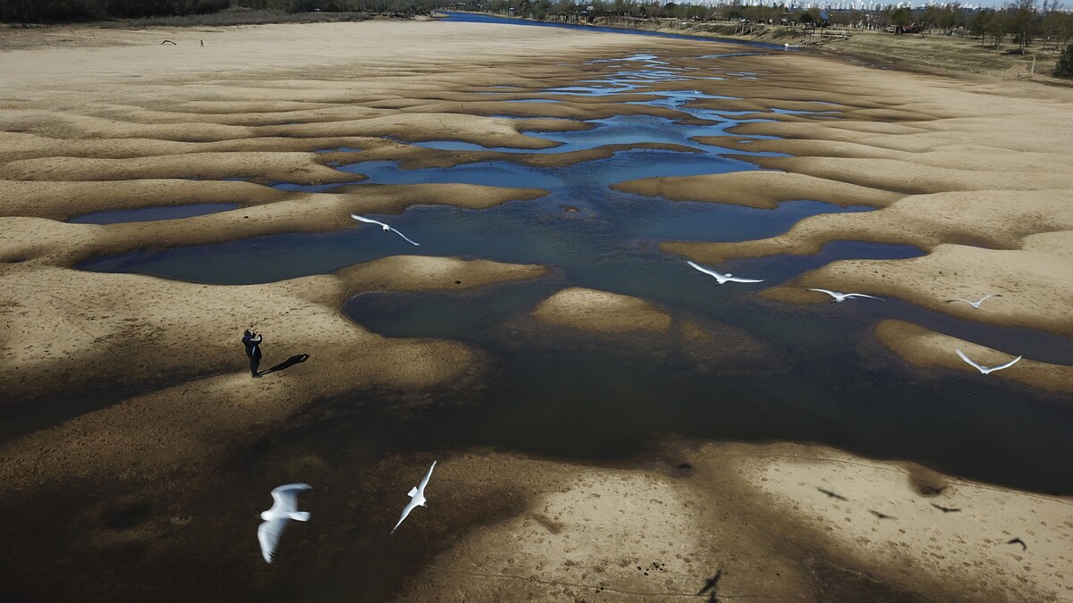 Globálne otepľovanie: vyschnuté koryto jedného z prítokov rieky Paraná, druhej najväčšej rieky v Južnej Amerike, počas sucha v argentínskom meste Rosario.