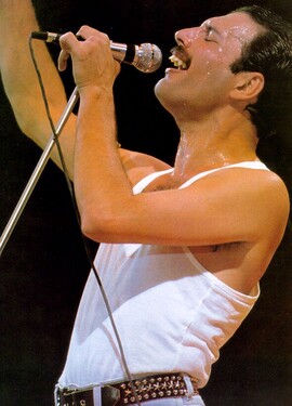 Co se stalo s ostatky Freddieho Mercuryho?