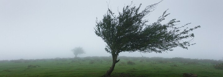 Česko zasáhl silný vítr. Padají stromy a některé domácnosti jsou bez elektřiny
