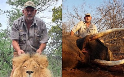 V Afrike zastrelili poľovníka, ktorý sa fotil s mŕtvymi levmi, slonmi či žirafami a organizoval platené poľovačky.