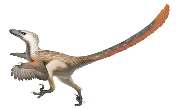 Tenhle dinosaurus je o poznání menší, ale dravostí by se klidně vyrovnal T. rexovi. Znáš jeho jméno?