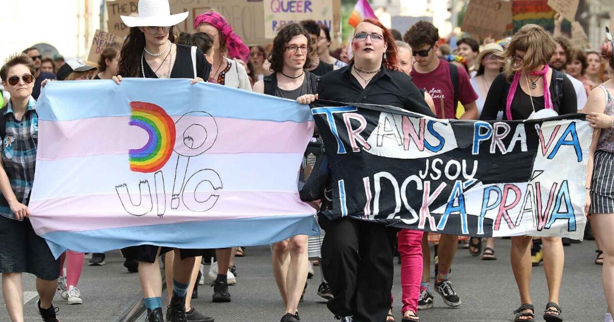 Na Brno dost dobrý: Po deseti letech se do města vrátila hrdost. Duha do ul!c chce změnit systém