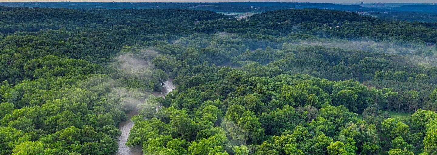 Dead Body Of A Missing British Reporter Found Tied To A Tree Deep In The Amazon Forest. He Was Examining Local Customs