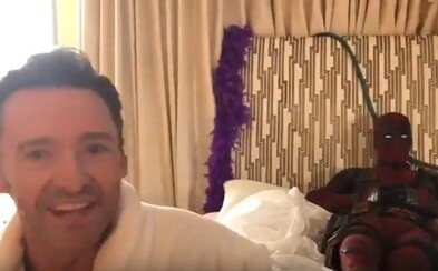Deadpool si s Wolverinem užil v jedné posteli chvilku oddychu. Ryan Reynolds a Hugh Jackman vtipně propagují sympatického antihrdinu Deadpool si s Wolverinem užil v jedné posteli chvilku oddychu. Ryan Reynolds a Hugh Jackman vtipně propagují sympatického antihrdinu