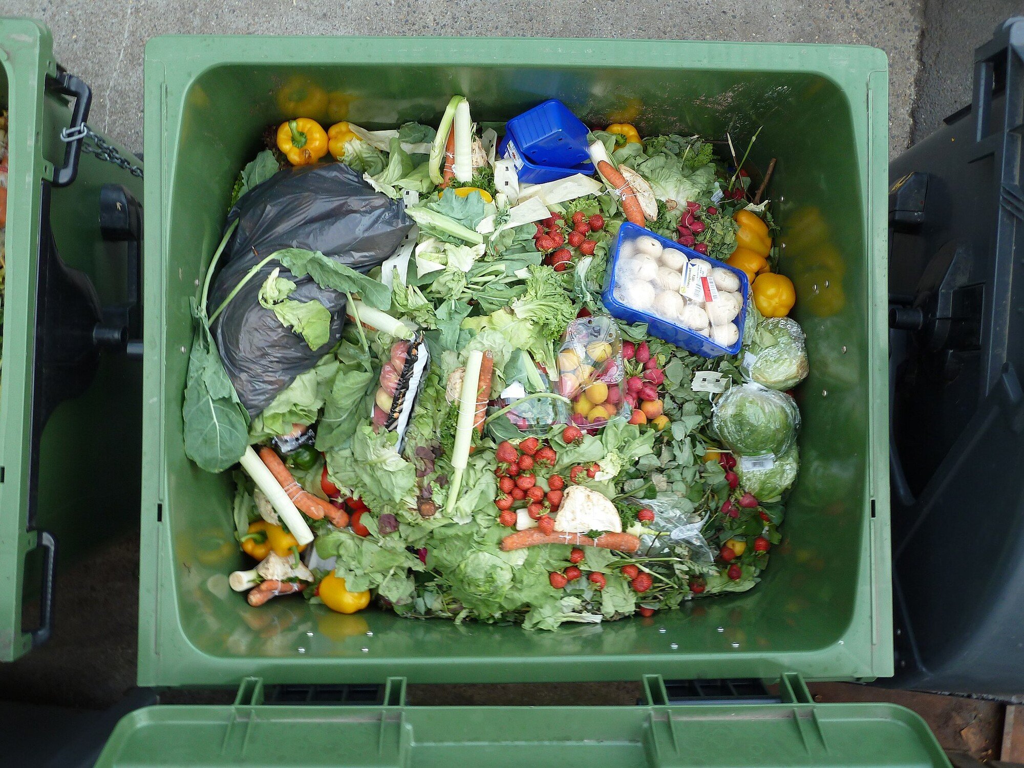 Food Waste, plytvanie