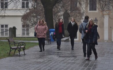 Desiatky ľudí sa zranili na poľadovici v Bratislave Desiatky ľudí sa zranili na poľadovici v Bratislave